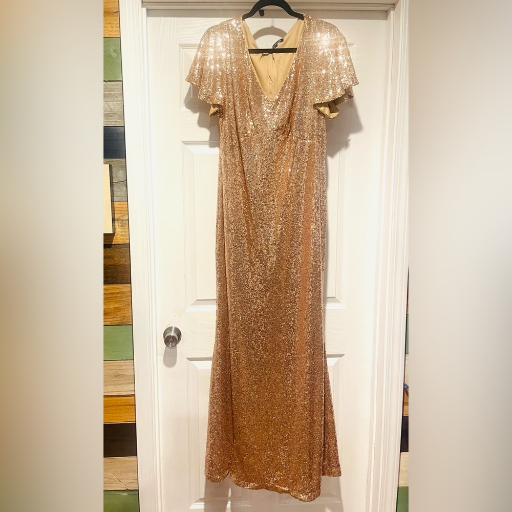 Stunning floor length cap sleeve sequence blush colored dress.
